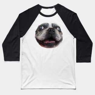 Rhett the Boston Terrier Baseball T-Shirt